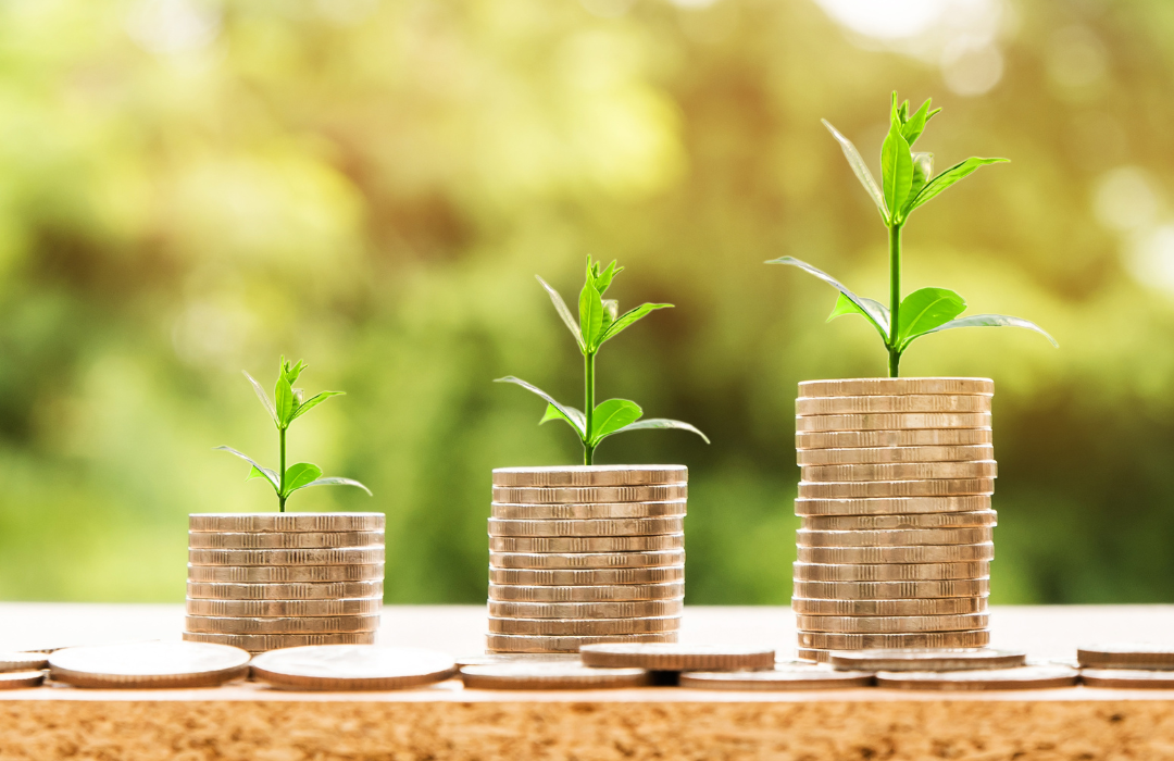 Boosting Profits: How Integrating Restoration Services Can Enhance Your Dry Cleaning Business