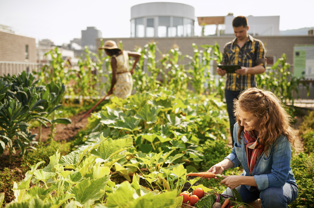 Planting Seeds of Sustainability This Spring