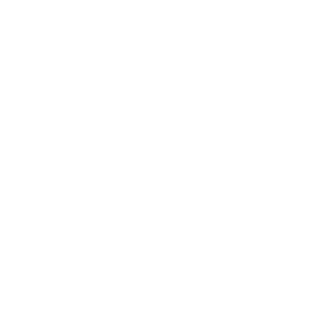 Customer Compass